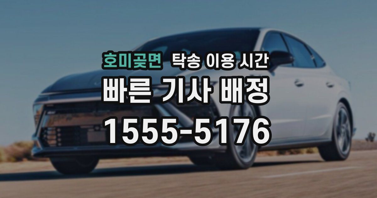 호미곶면 탁송 이용 시간