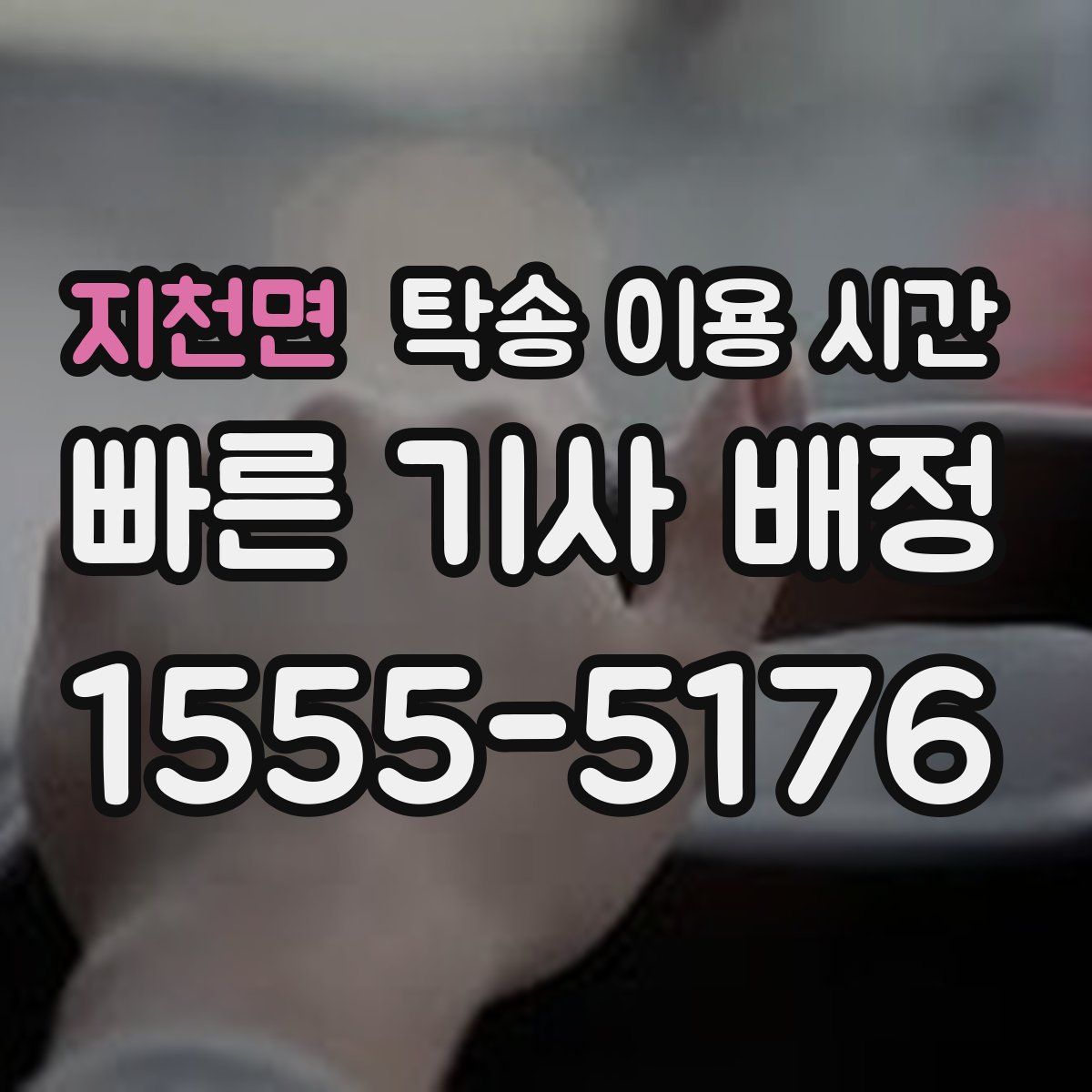 지천면 탁송 이용 시간