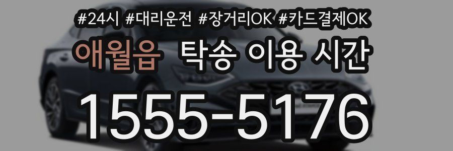 애월읍 탁송 이용 시간