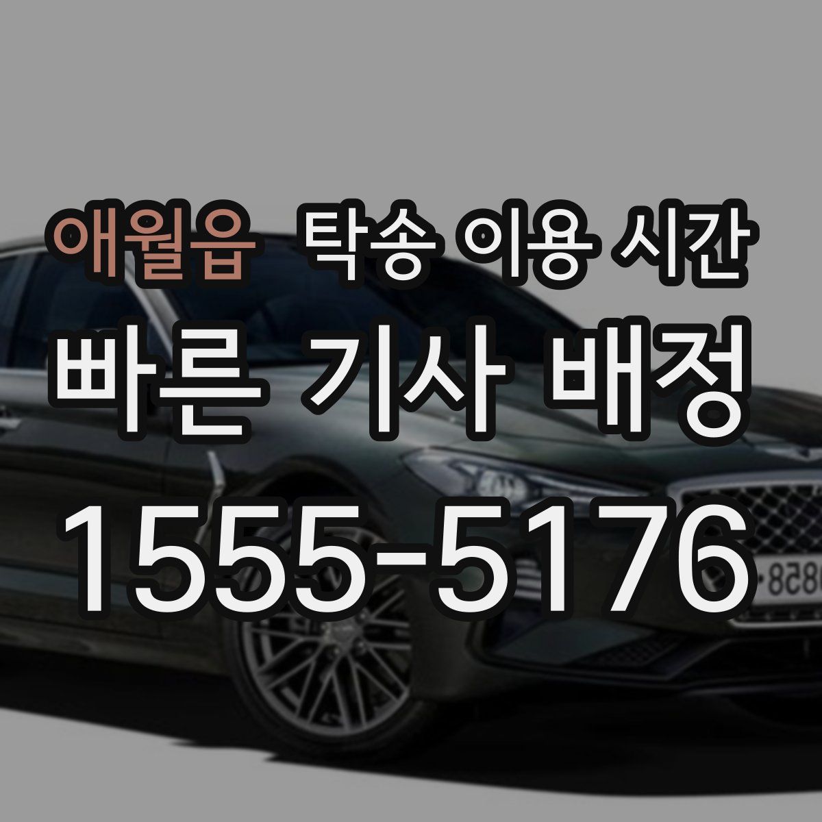 애월읍 탁송 이용 시간