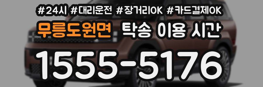 무릉도원면 탁송 이용 시간
