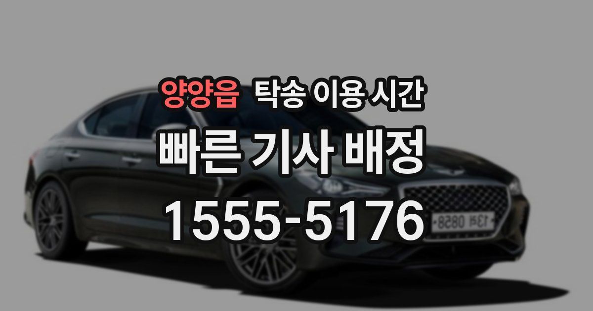양양읍 탁송 이용 시간