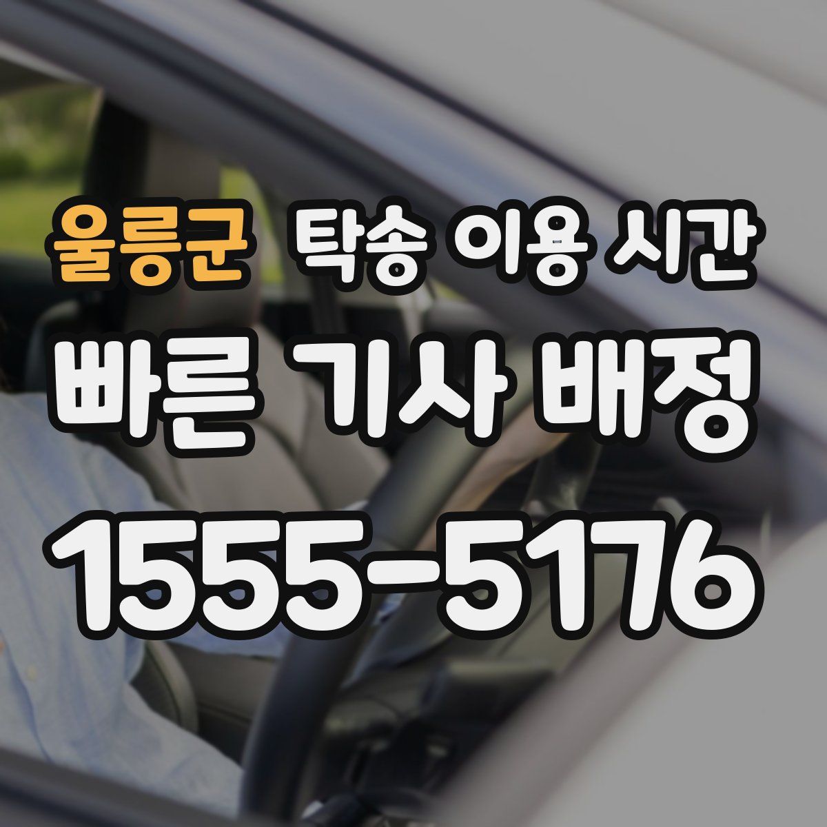 울릉군 탁송 이용 시간