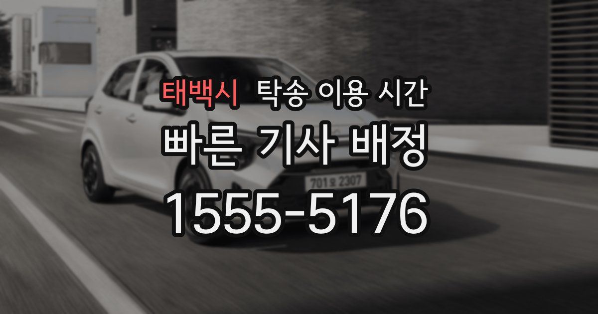 태백시 탁송 이용 시간