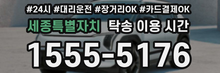 세종특별자치 탁송 이용 시간