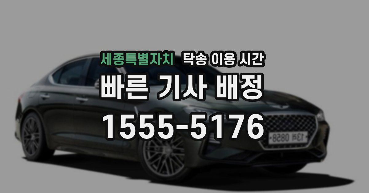 세종특별자치 탁송 이용 시간