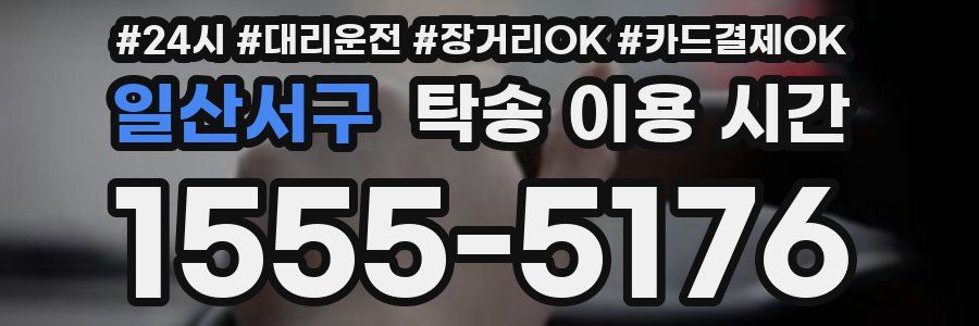 일산서구 탁송 이용 시간