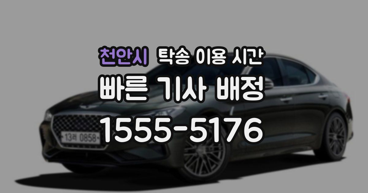 천안시 탁송 이용 시간
