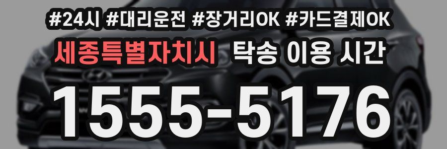 세종특별자치시 탁송 이용 시간