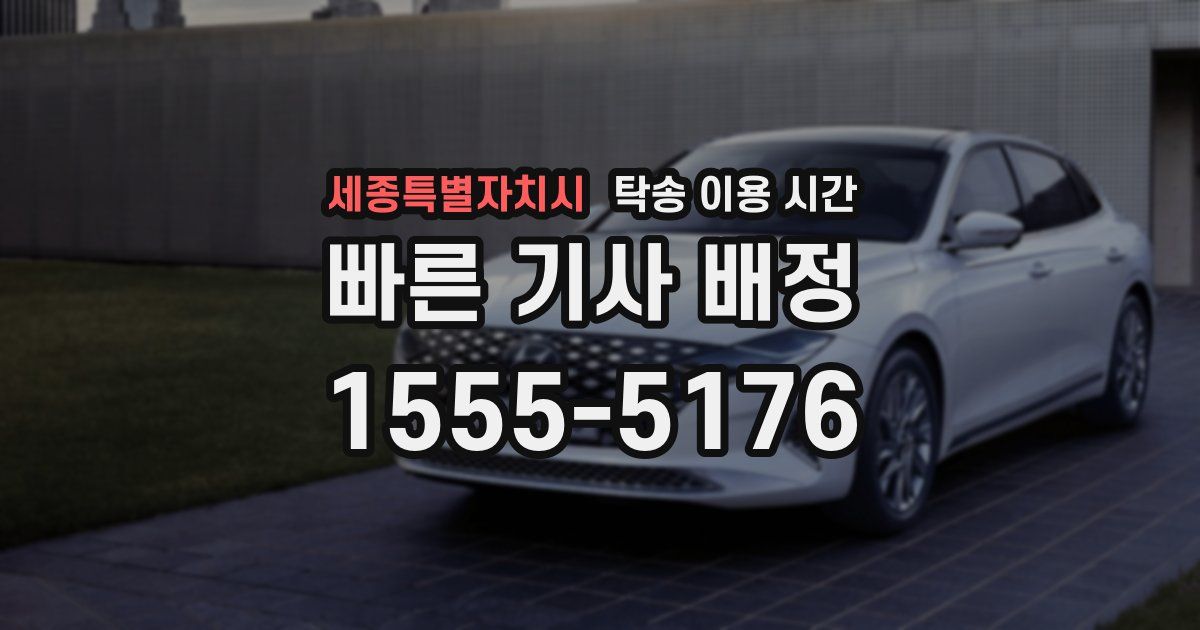 세종특별자치시 탁송 이용 시간