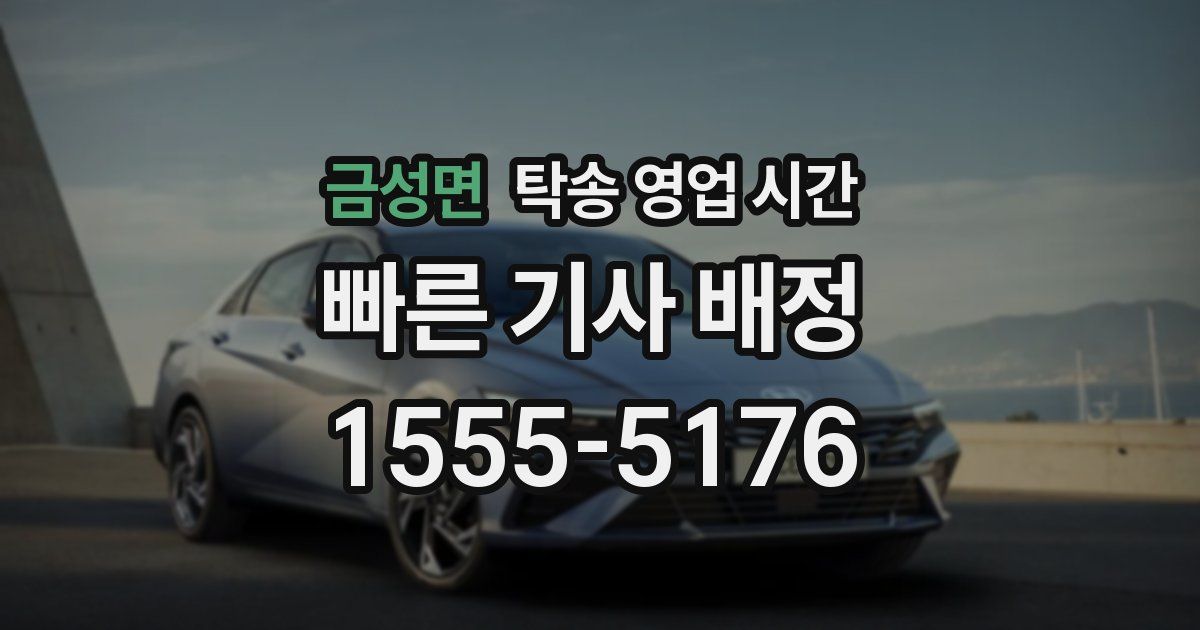 금성면 탁송 영업 시간