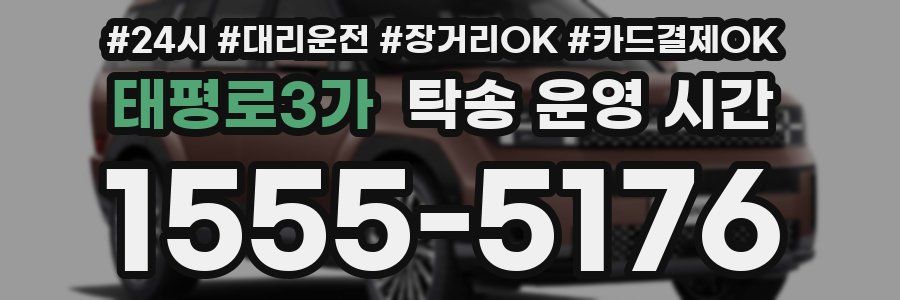 태평로3가 탁송 운영 시간