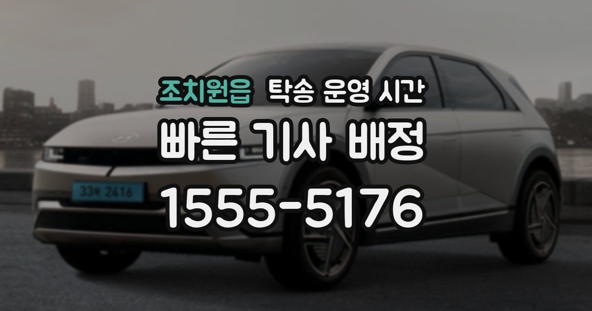 조치원읍 탁송 운영 시간