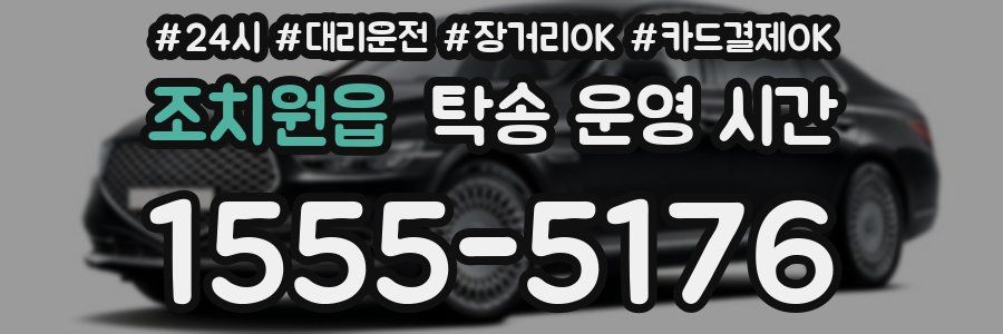 조치원읍 탁송 운영 시간