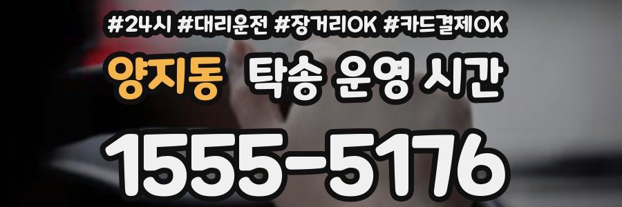 양지동 탁송 운영 시간