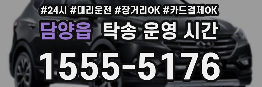 담양읍 탁송 운영 시간