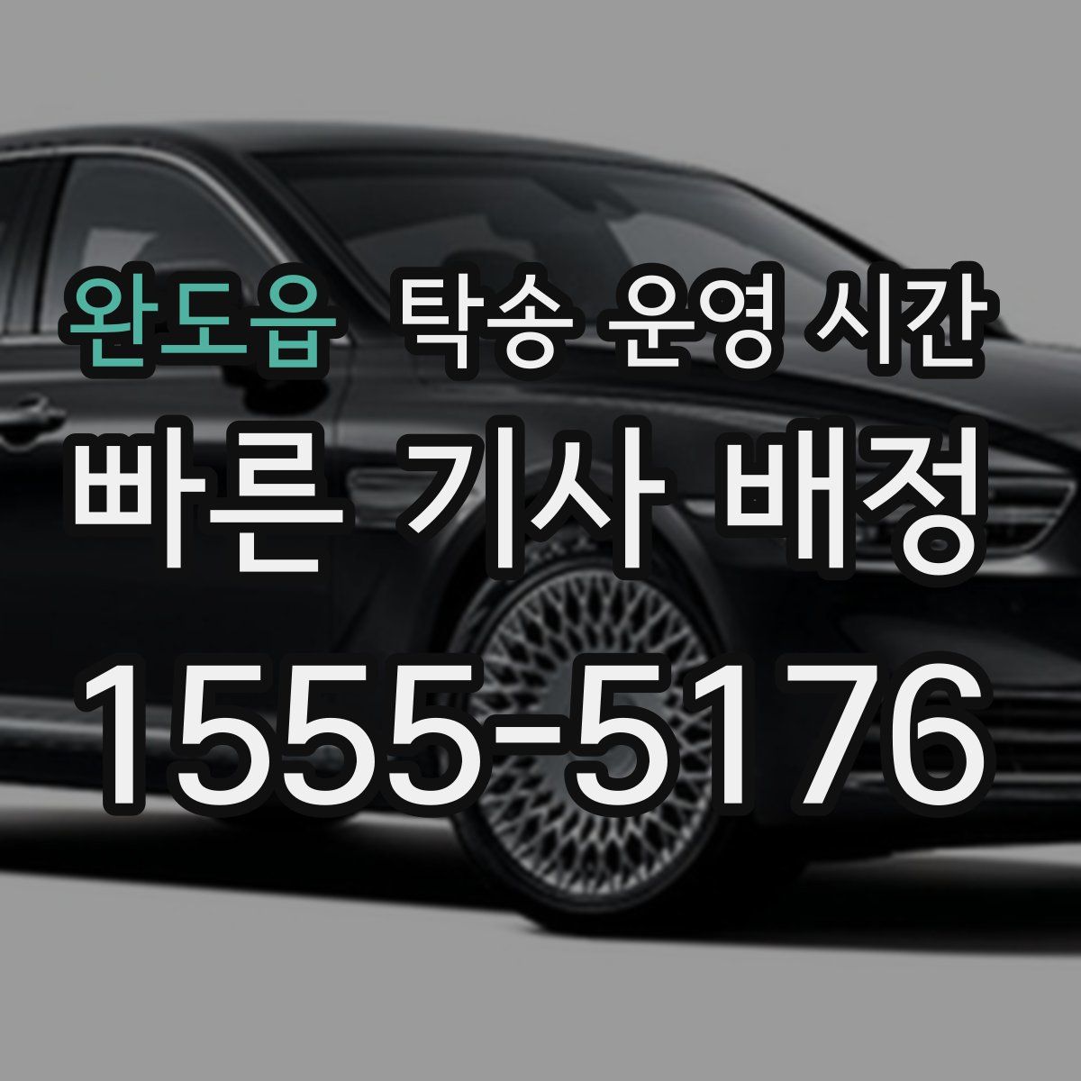 완도읍 탁송 운영 시간