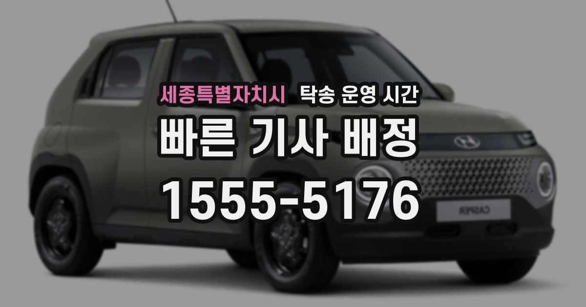 세종특별자치시 탁송 운영 시간