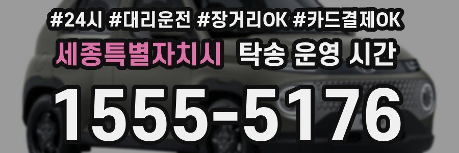 세종특별자치시 탁송 운영 시간