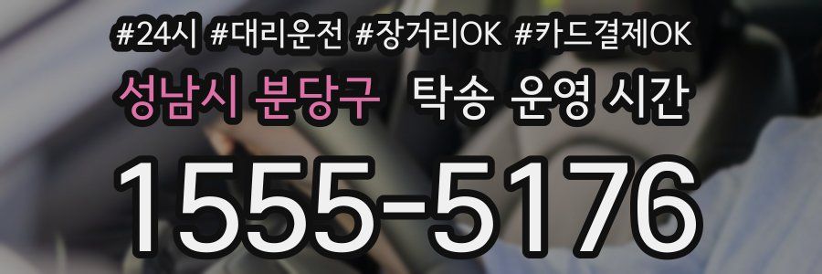 성남시 분당구 탁송 운영 시간