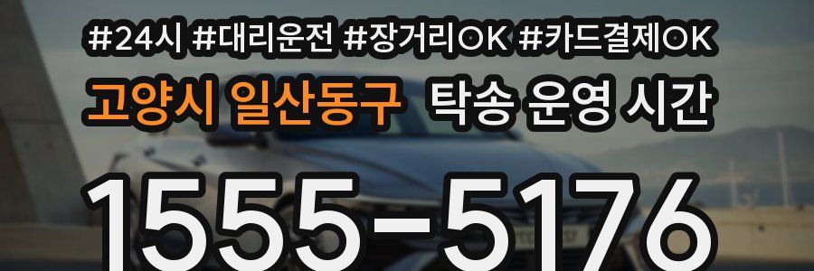 고양시 일산동구 탁송 운영 시간