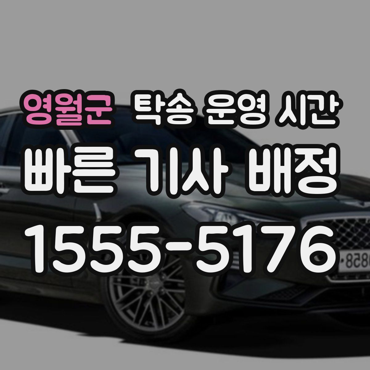 영월군 탁송 운영 시간
