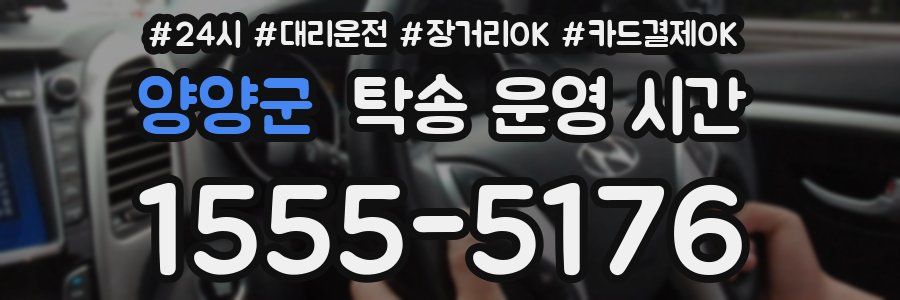 양양군 탁송 운영 시간