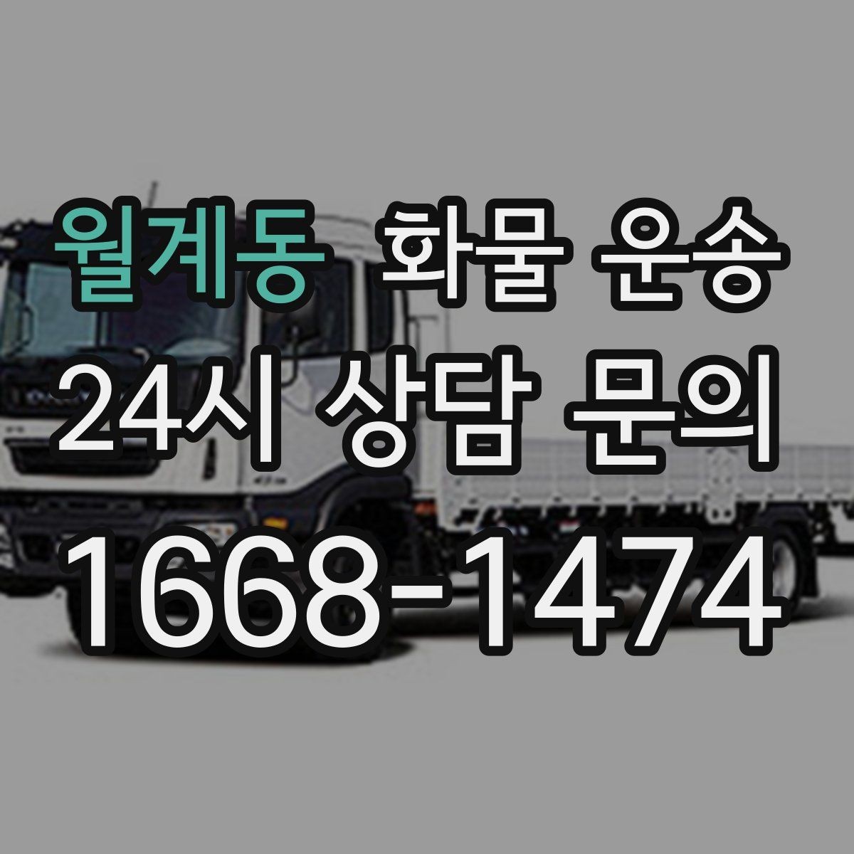 월계동 화물 운송 화분 식물 운송 시 흔들림 최소화 방법