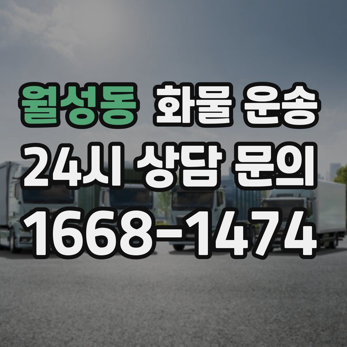 월성동 화물 운송