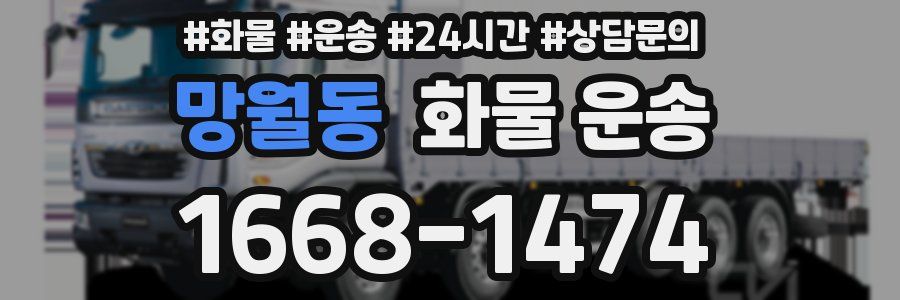 망월동 화물 운송