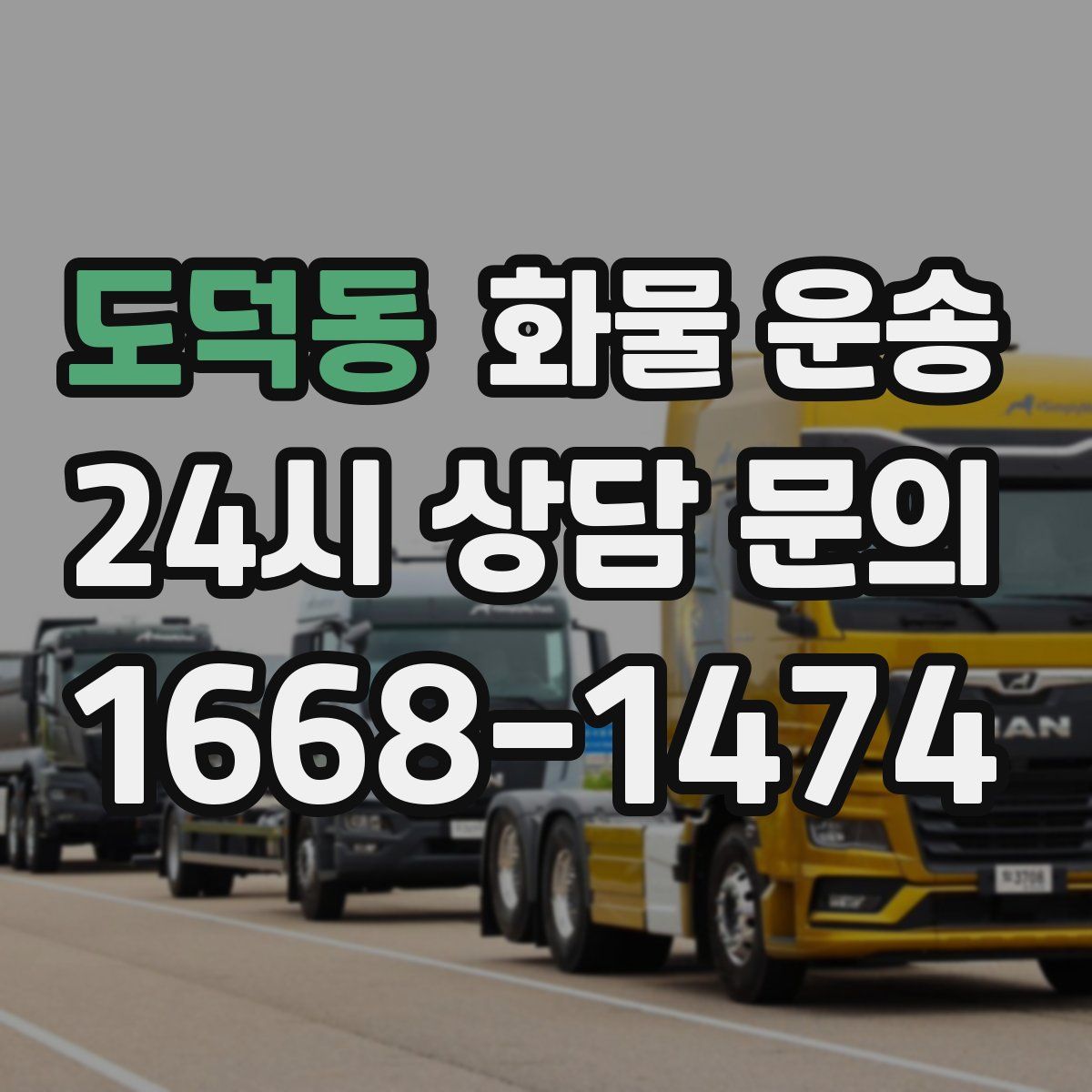 도덕동 화물 운송