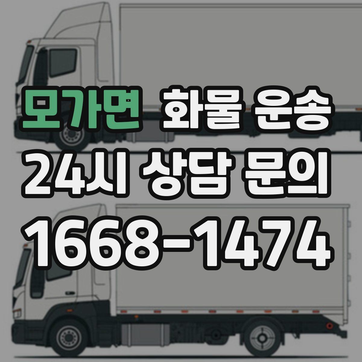 모가면 화물 운송 화분 식물 운송 시 흔들림 최소화 방법