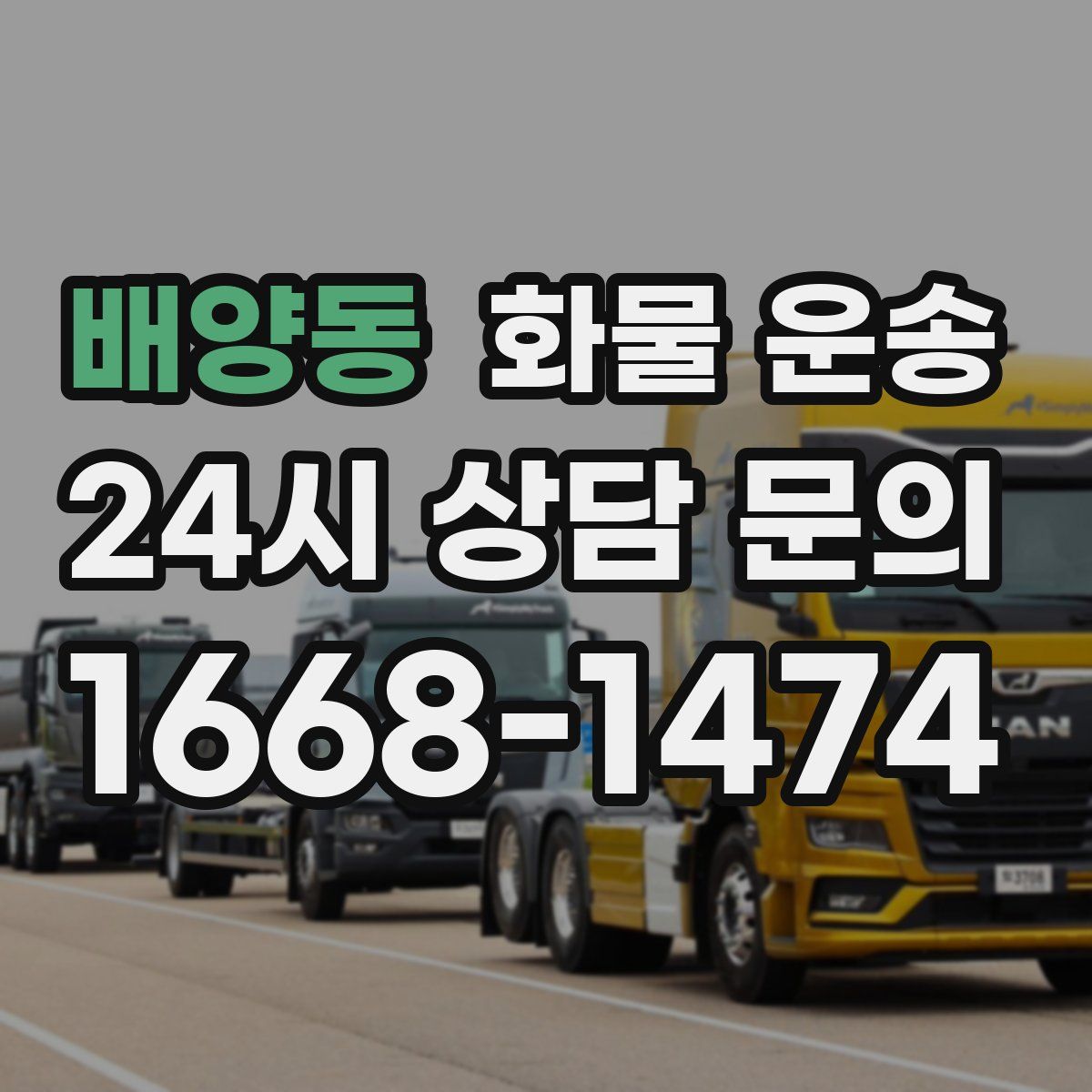 배양동 화물 운송