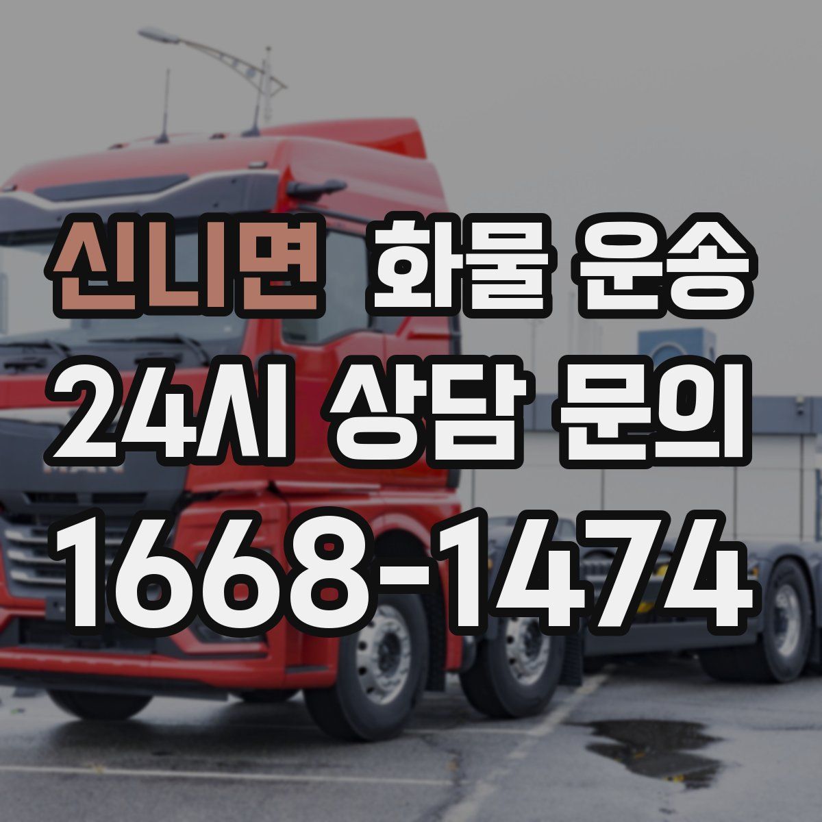 신니면 화물 운송