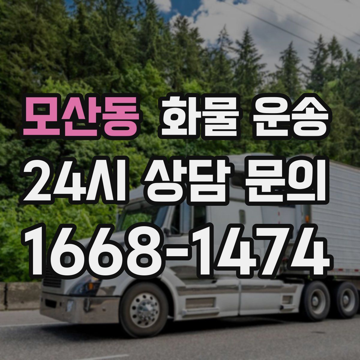 모산동 화물 운송