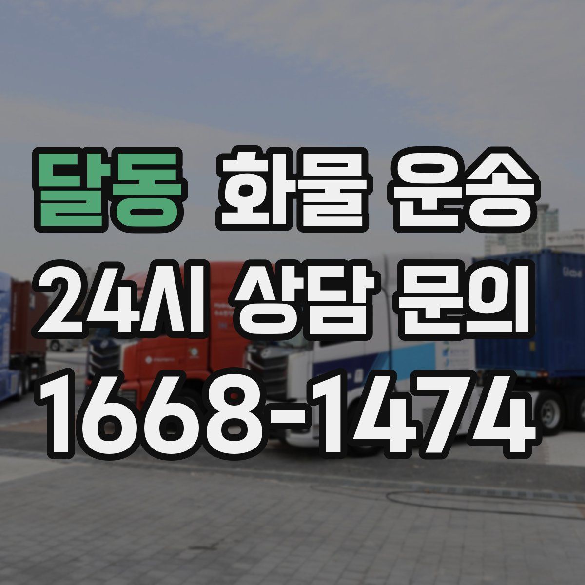 달동 화물 운송