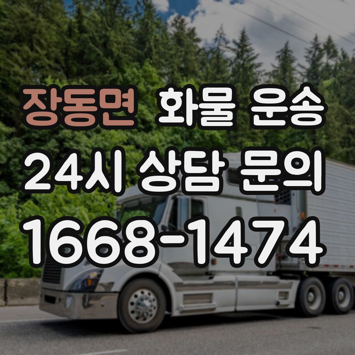 장동면 화물 운송