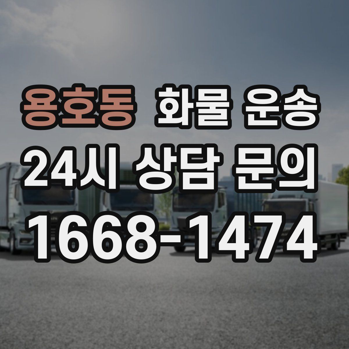 용호동 화물 운송