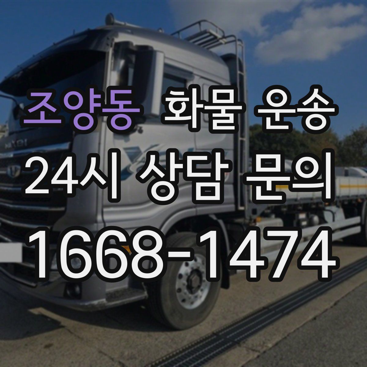 조양동 화물 운송