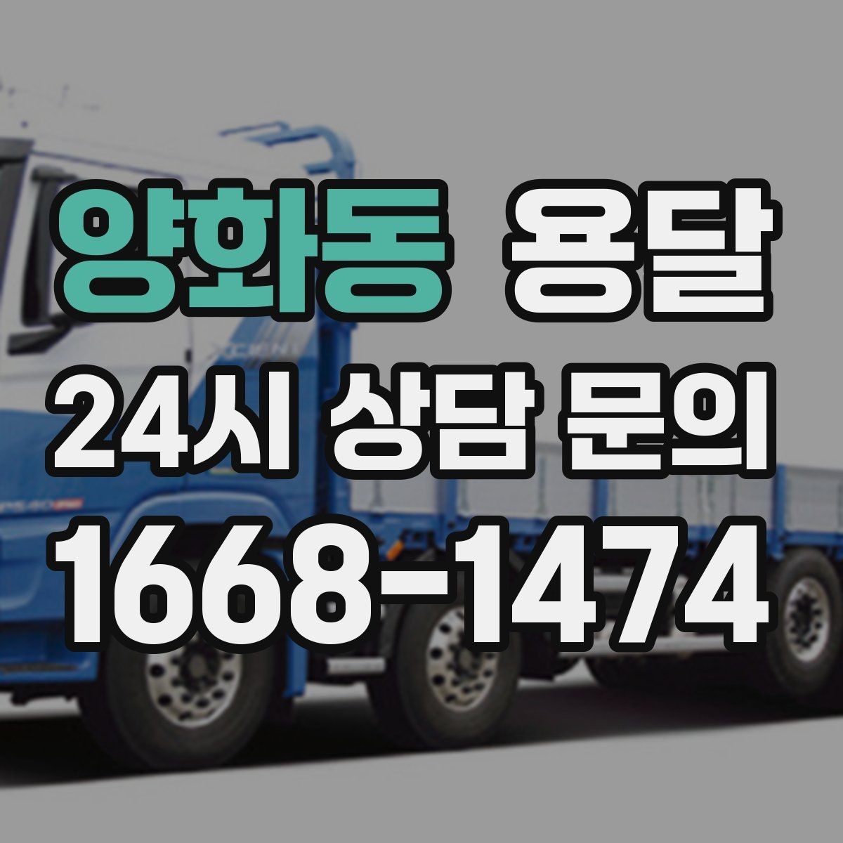 양화동 용달 반려동물 케이지 용품까지 안전하게 옮기는 팁