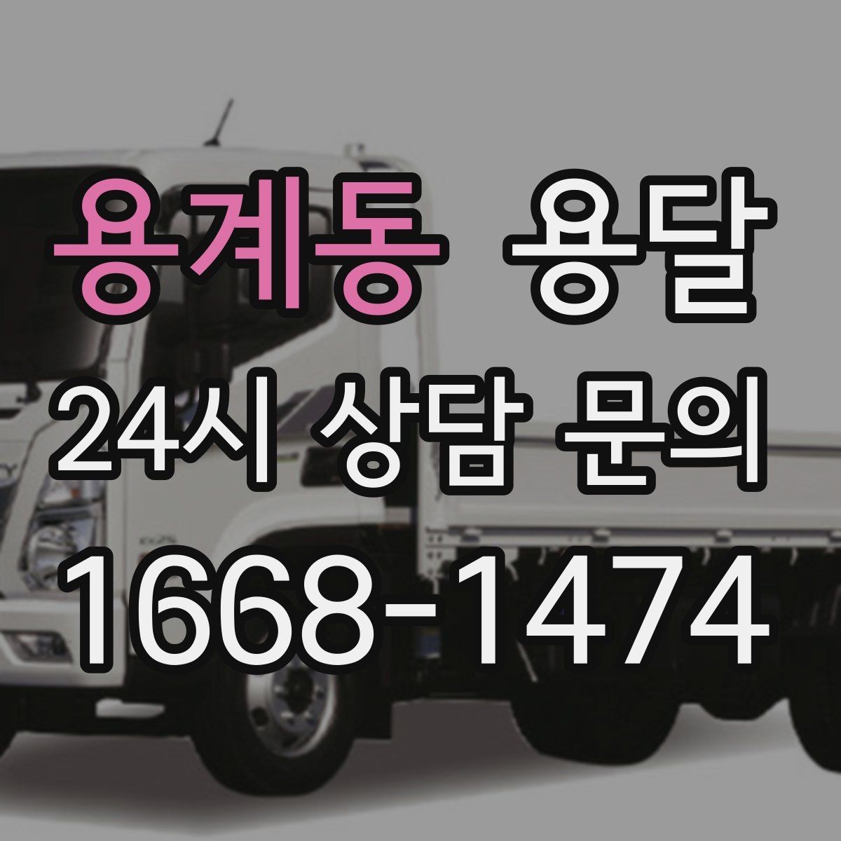 용계동 용달 반려동물 용품까지 깔끔하게 옮기는 정리 팁
