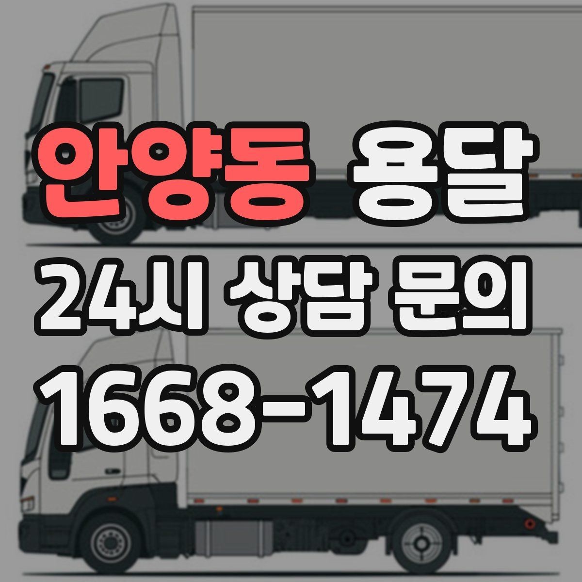 안양동 용달 화분 식물 운반 시 흔들림 최소화 요령