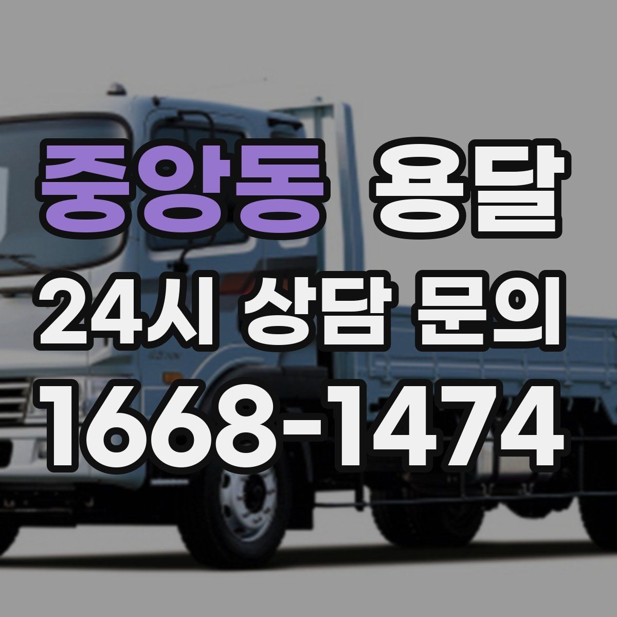 중앙동 용달 화분 식물 운반 시 흔들림 최소화 요령