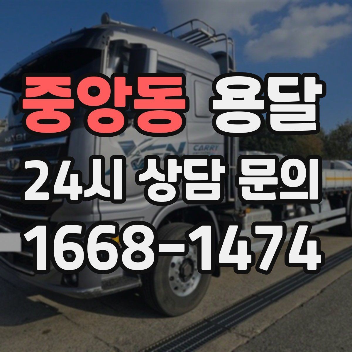 중앙동 용달 화분 식물 운반, 흙 쏟아짐 방지 방법