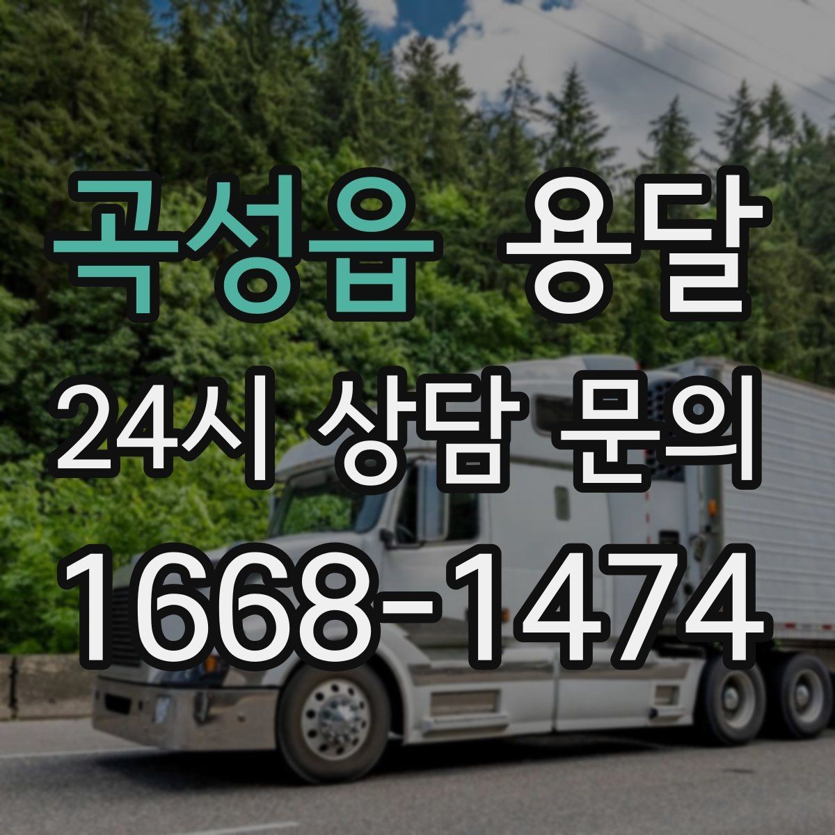 곡성읍 용달 악기 운반, 케이스와 완충이 중요한 이유