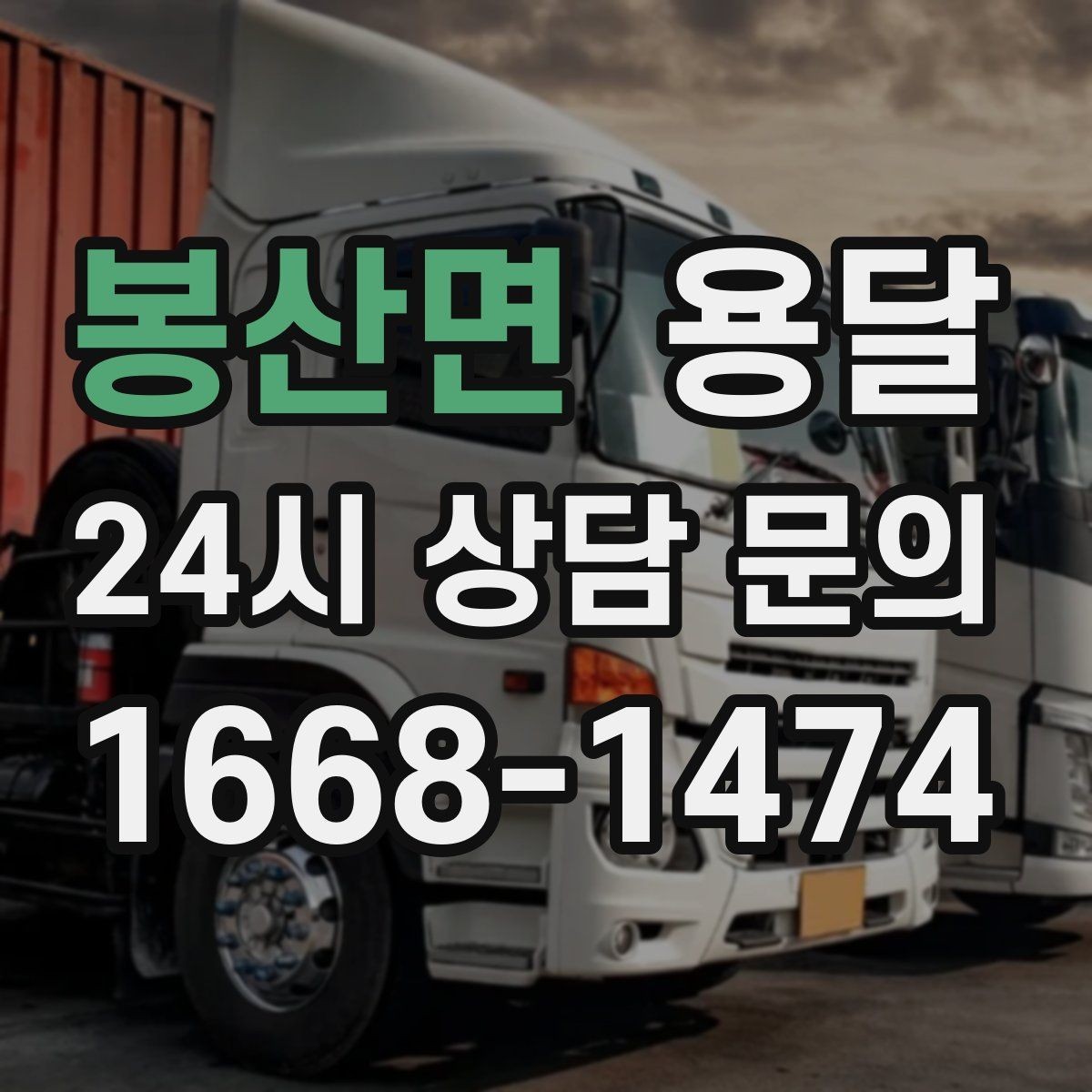 봉산면 용달 반려동물 용품까지 깔끔하게 옮기는 정리 팁