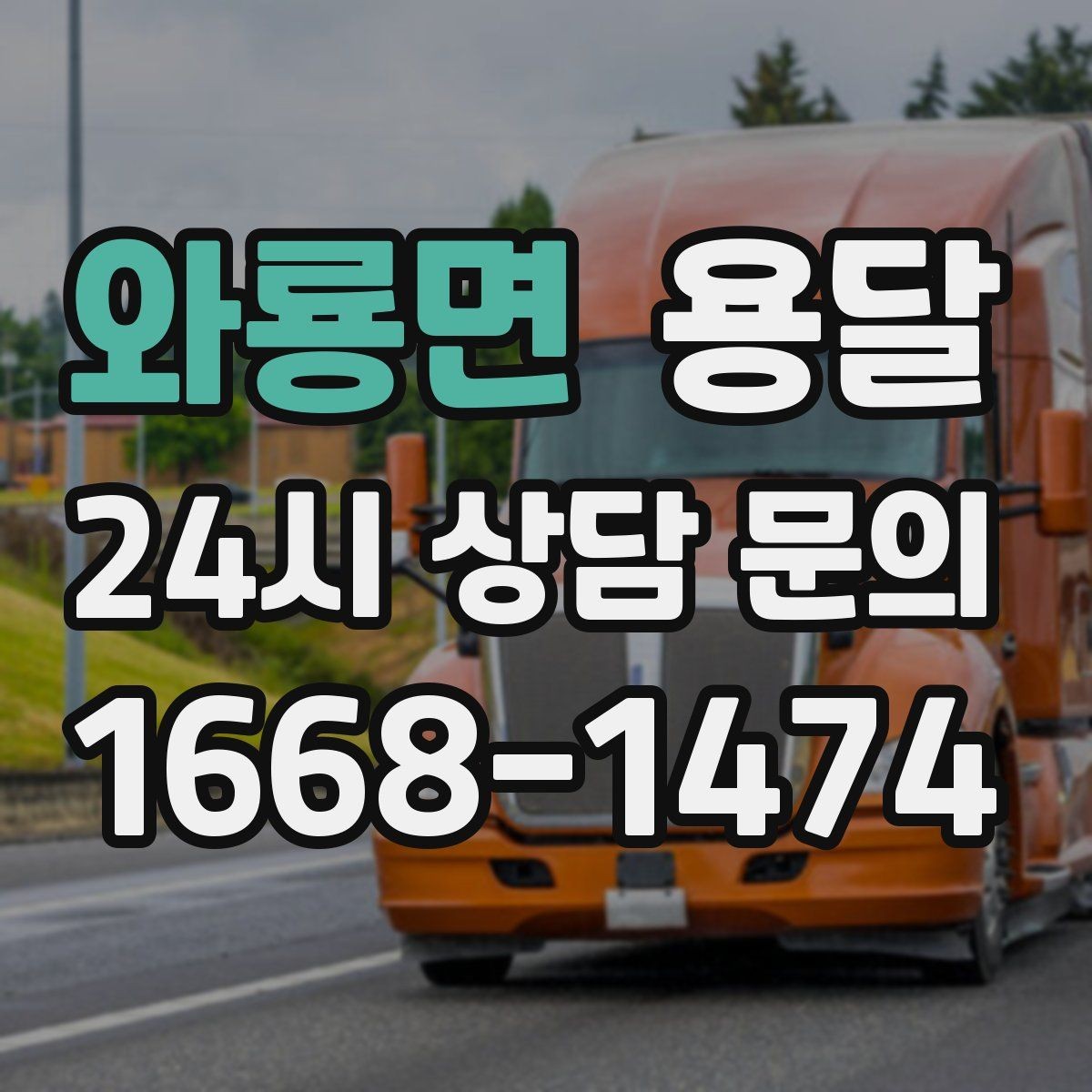 와룡면 용달 반려동물 케이지 용품까지 안전하게 옮기는 팁