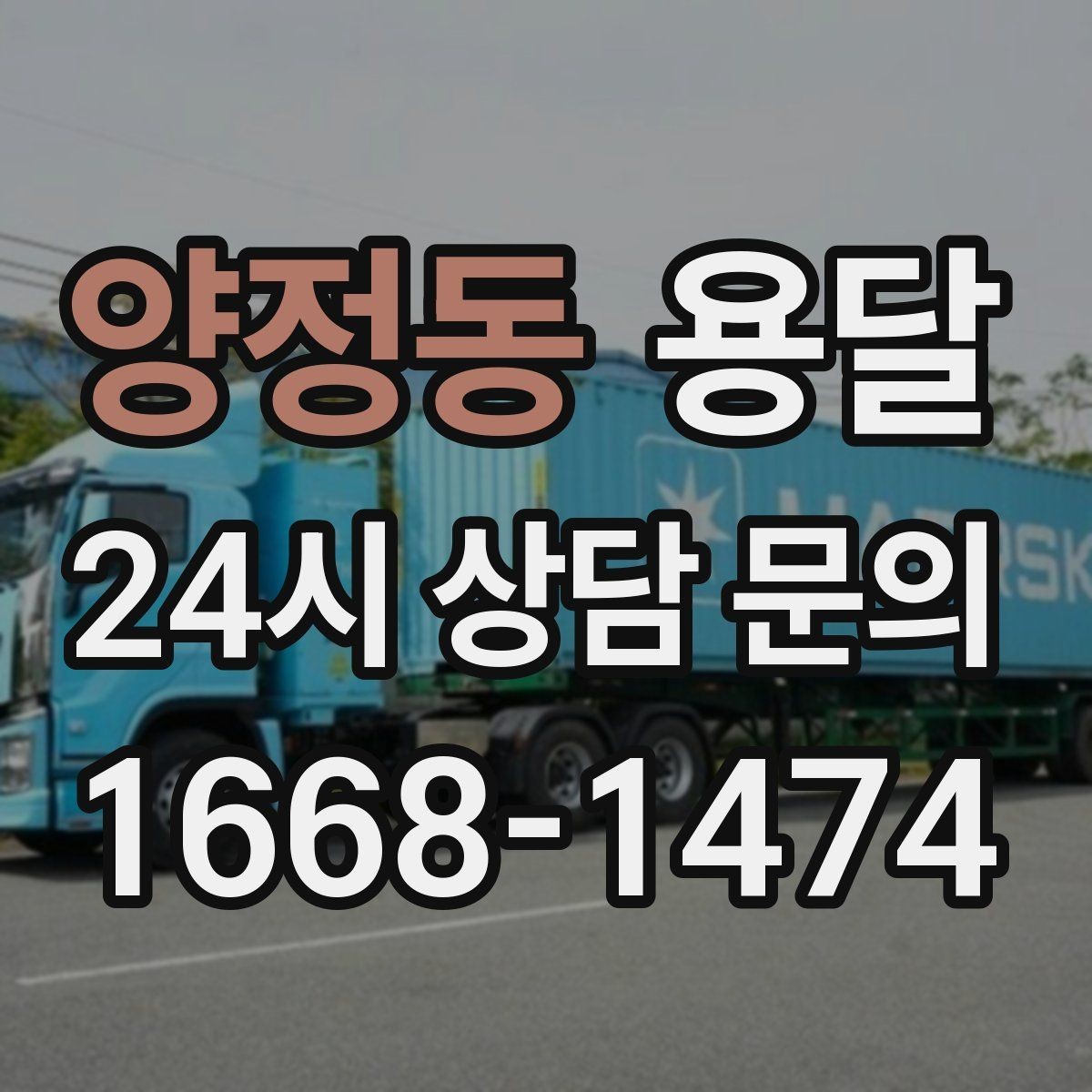 양정동 용달 반려동물 케이지 용품까지 안전하게 옮기는 팁