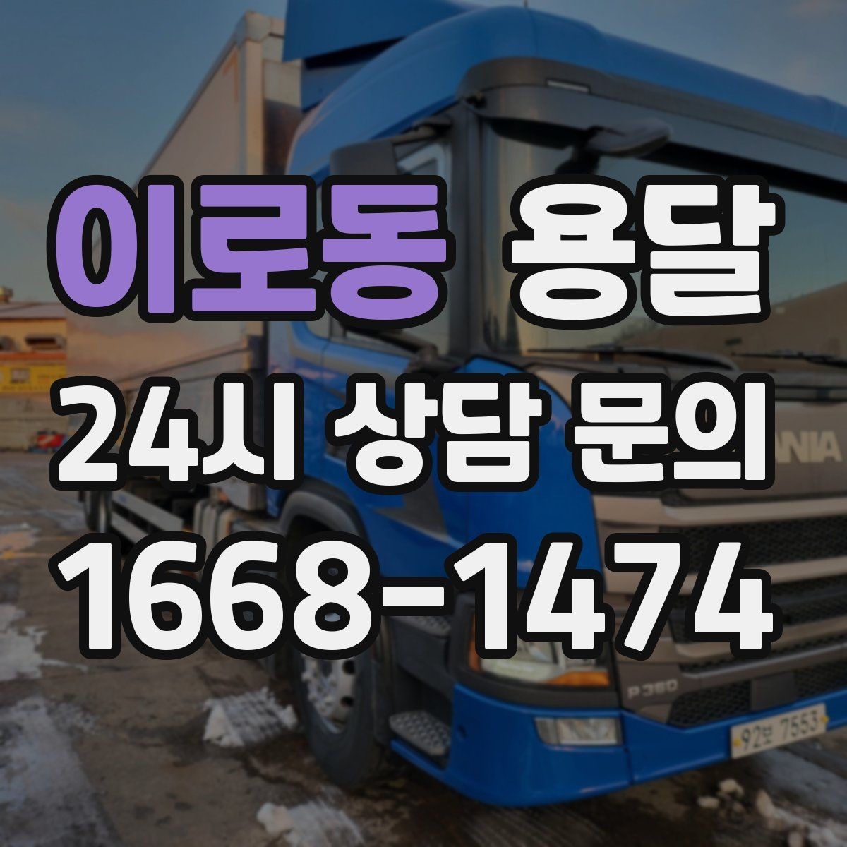 이로동 용달 반려동물 케이지 용품까지 안전하게 옮기는 팁