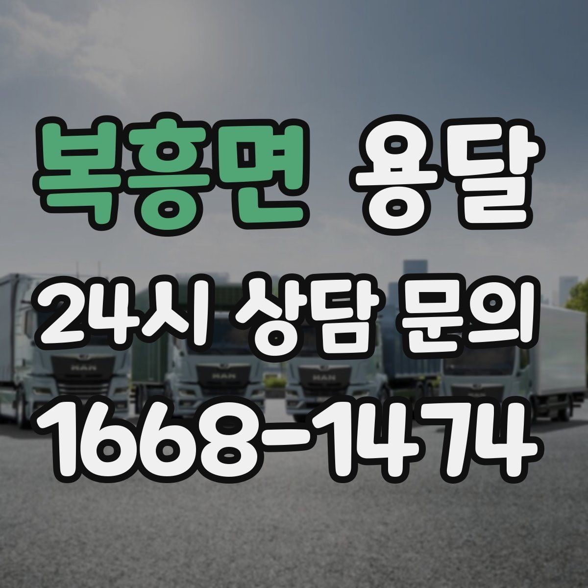 복흥면 용달 반려동물 케이지 용품까지 안전하게 옮기는 팁